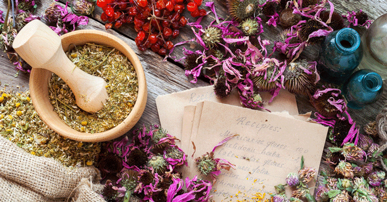 Articoli del blog Dr. Reckeweg Knowledge